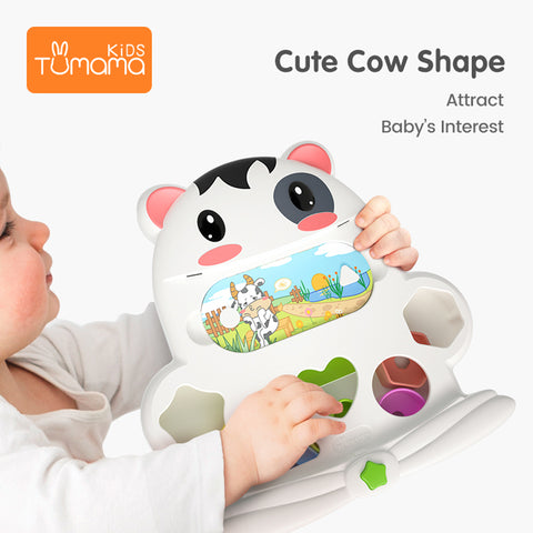 Baby Learning Toys